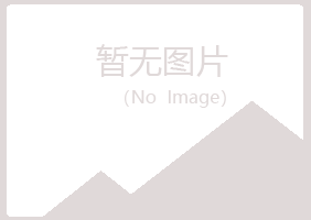 鹤岗兴山未来水泥有限公司